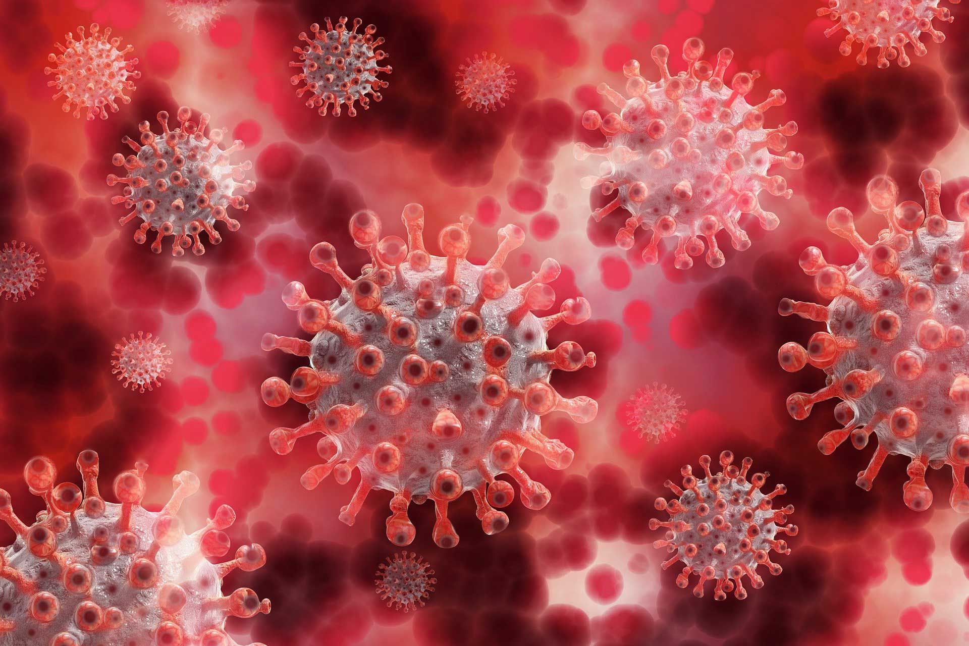 Immunsystem stärken – Corona Virus